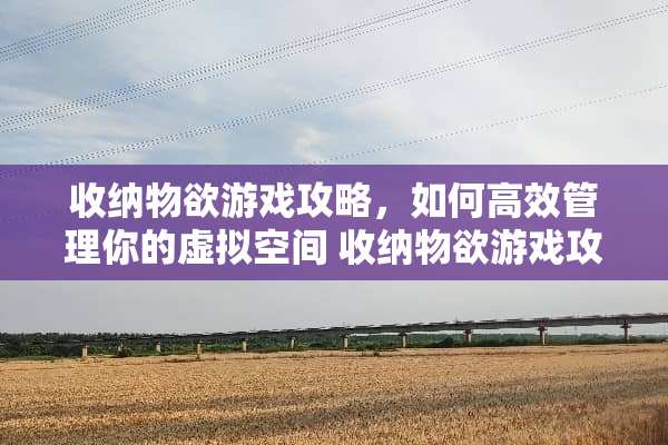 收纳物欲游戏攻略，如何高效管理你的虚拟空间 收纳物欲游戏攻略