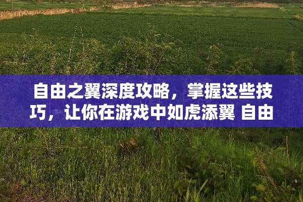 自由之翼深度攻略，掌握这些技巧，让你在游戏中如虎添翼 自由之翼攻略