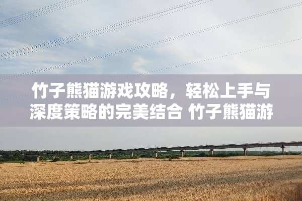 竹子熊猫游戏攻略，轻松上手与深度策略的完美结合 竹子熊猫游戏攻略