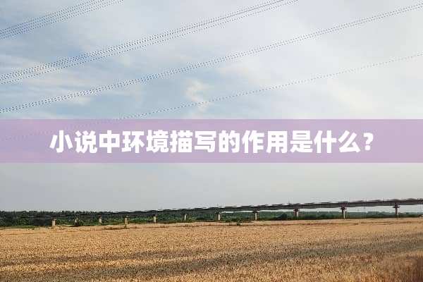 小说中环境描写的作用是什么？