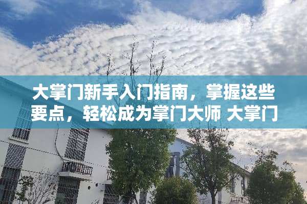 大掌门新手入门指南，掌握这些要点，轻松成为掌门大师 大掌门新手攻略