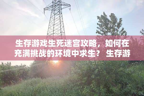 生存游戏生死迷宫攻略，如何在充满挑战的环境中求生？ 生存游戏生死迷宫攻略