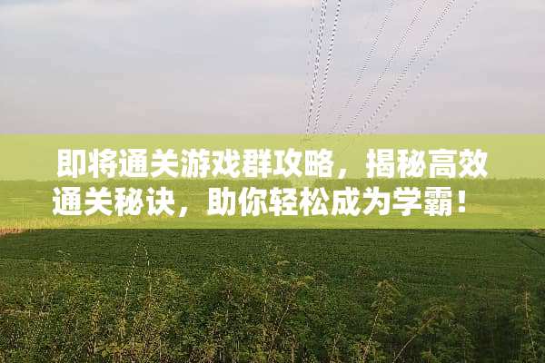 即将通关游戏群攻略，揭秘高效通关秘诀，助你轻松成为学霸！ 即将通关游戏群攻略