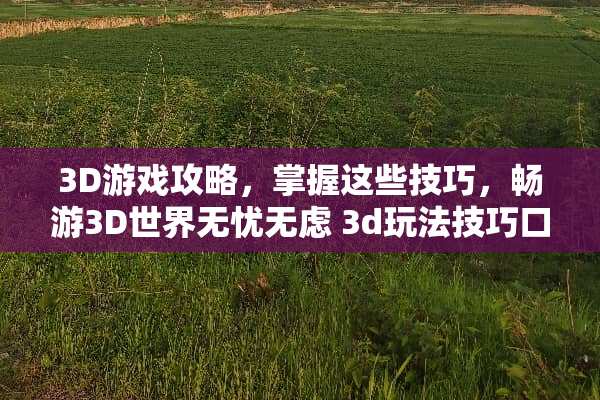 3D游戏攻略，掌握这些技巧，畅游3D世界无忧无虑 3d玩法技巧口决