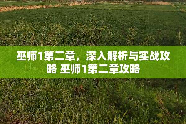 巫师1第二章，深入解析与实战攻略 巫师1第二章攻略