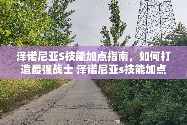泽诺尼亚S技能加点指南，如何打造最强战士 泽诺尼亚s技能加点