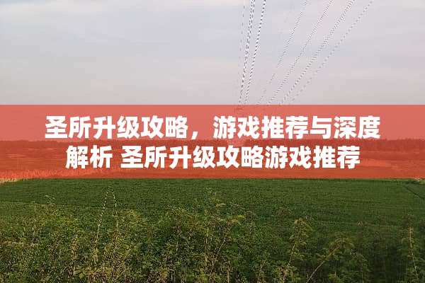 圣所升级攻略，游戏推荐与深度解析 圣所升级攻略游戏推荐