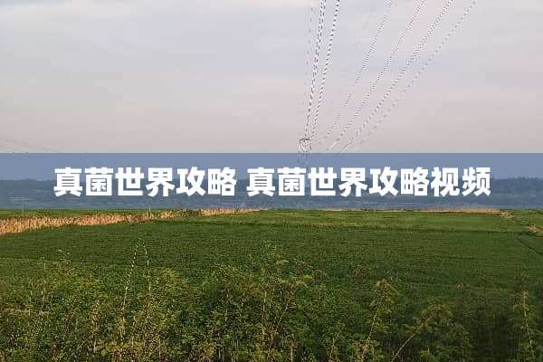 真菌世界攻略 真菌世界攻略视频