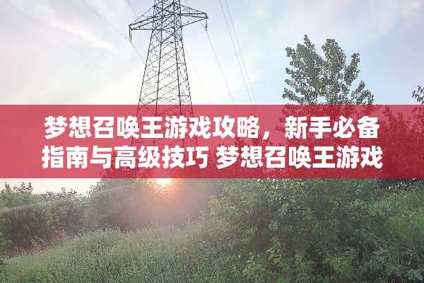 梦想召唤王游戏攻略，新手必备指南与高级技巧 梦想召唤王游戏攻略