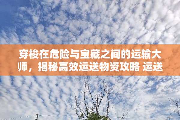 穿梭在危险与宝藏之间的运输大师，揭秘高效运送物资攻略 运送物资游戏方法攻略