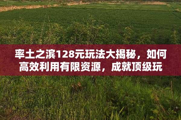 率土之滨128元玩法大揭秘，如何高效利用有限资源，成就**玩家 率土之滨128元玩法