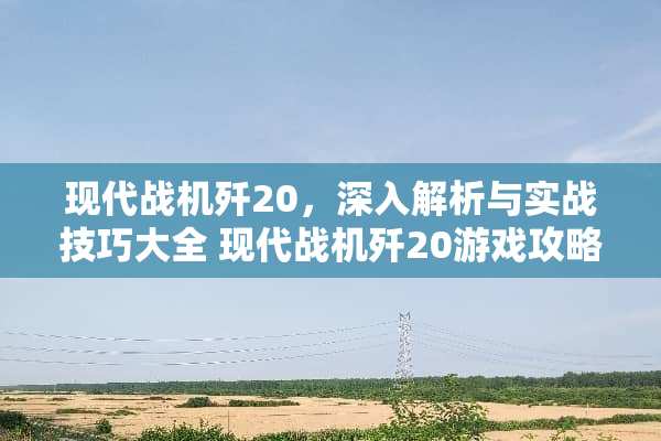 现代战机歼20，深入解析与实战技巧大全 现代战机歼20游戏攻略