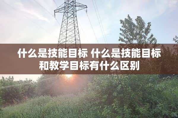 什么是技能目标 什么是技能目标和教学目标有什么区别