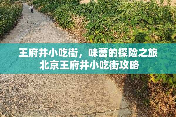 王府井小吃街，味蕾的探险之旅 北京王府井小吃街攻略