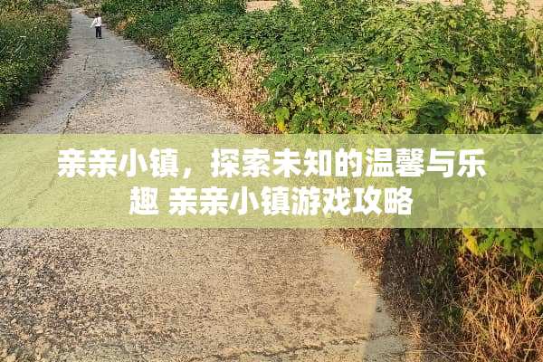 亲亲小镇，探索未知的温馨与乐趣 亲亲小镇游戏攻略