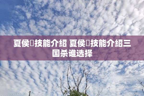 夏侯惇技能介绍 夏侯惇技能介绍三国杀谁选择