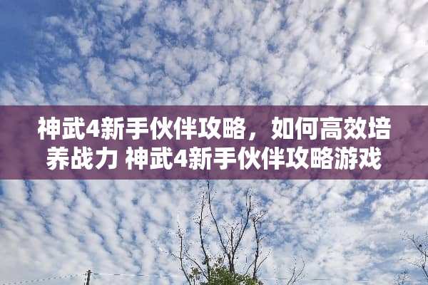 神武4新手伙伴攻略，如何高效培养战力 神武4新手伙伴攻略游戏