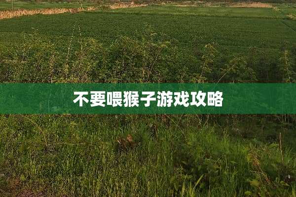 不要喂猴子游戏攻略