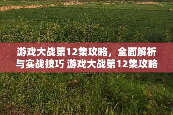 游戏大战第12集攻略，全面解析与实战技巧 游戏大战第12集攻略