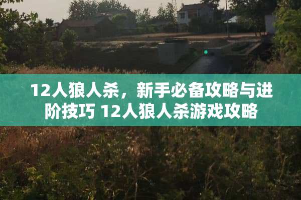 12人狼人杀，新手必备攻略与进阶技巧 12人狼人杀游戏攻略