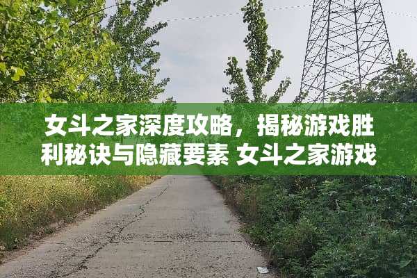 女斗之家深度攻略，揭秘游戏胜利秘诀与隐藏要素 女斗之家游戏攻略