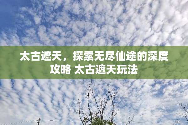 太古遮天，探索无尽仙途的深度攻略 太古遮天玩法