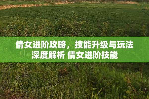 倩女进阶攻略，技能升级与玩法深度解析 倩女进阶技能