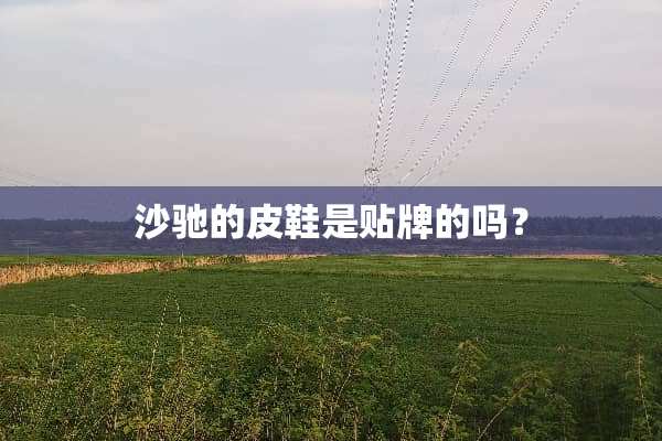 沙驰的皮鞋是贴牌的吗？