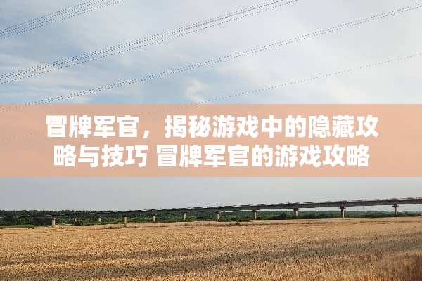 冒牌军官，揭秘游戏中的隐藏攻略与技巧 冒牌军官的游戏攻略