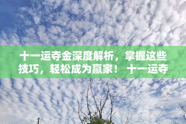 十一运夺金深度解析，掌握这些技巧，轻松成为**！ 十一运夺金玩法