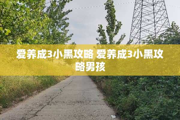爱养成3小黑攻略 爱养成3小黑攻略男孩