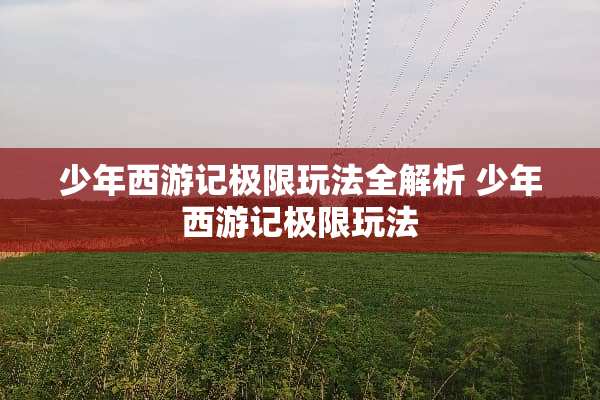 少年西游记极限玩法全解析 少年西游记极限玩法