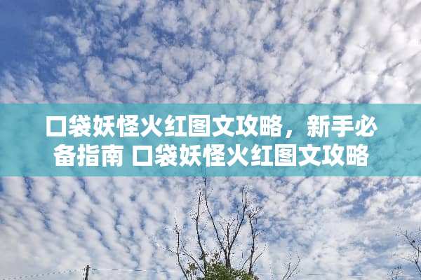 口袋妖怪火红图文攻略，新手必备指南 口袋妖怪火红图文攻略