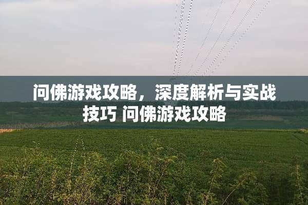 问佛游戏攻略，深度解析与实战技巧 问佛游戏攻略
