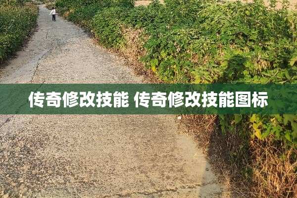 传奇修改技能 传奇修改技能图标