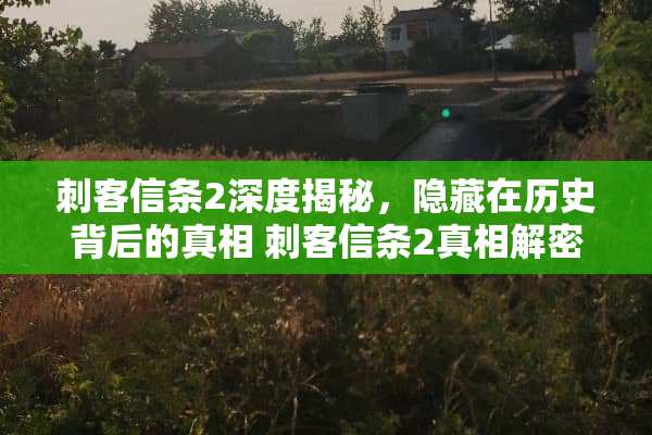 刺客信条2深度揭秘，隐藏在历史背后的** 刺客信条2**解密攻略