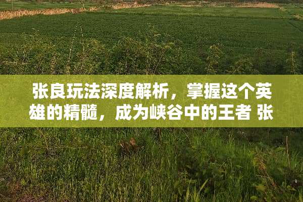张良玩法深度解析，掌握这个英雄的精髓，成为峡谷中的王者 张良玩法介绍
