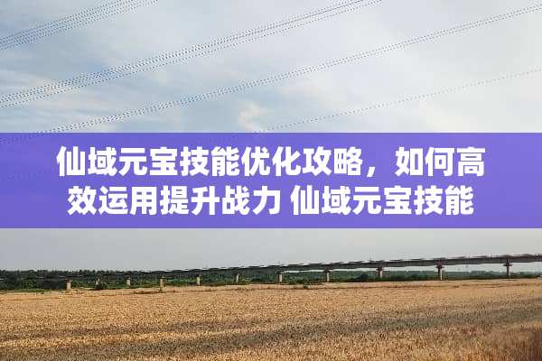 仙域元宝技能优化攻略，如何高效运用提升战力 仙域元宝技能