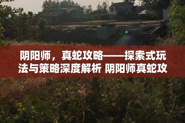 *阳师，真蛇攻略——探索式玩法与策略深度解析 *阳师真蛇攻略