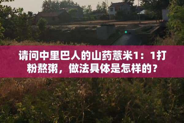 请问中里巴人的山药薏米1：1打粉熬粥，做法具体是怎样的？