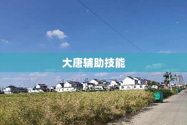 大唐辅助技能