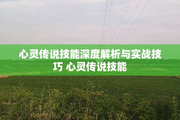 心灵传说技能深度解析与实战技巧 心灵传说技能