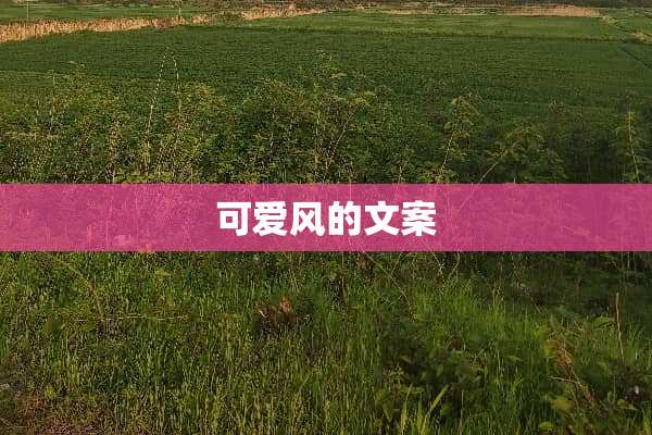 可爱风的文案