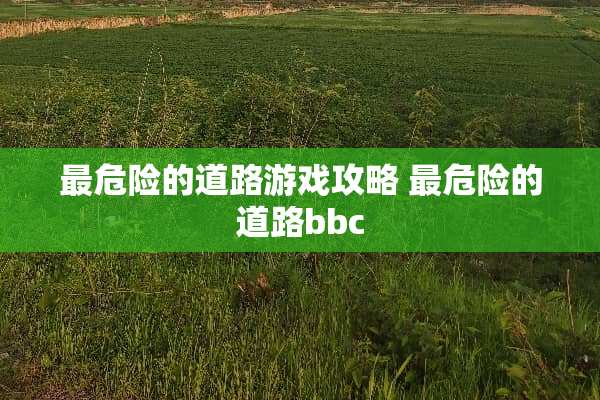 最危险的道路游戏攻略 最危险的道路bbc