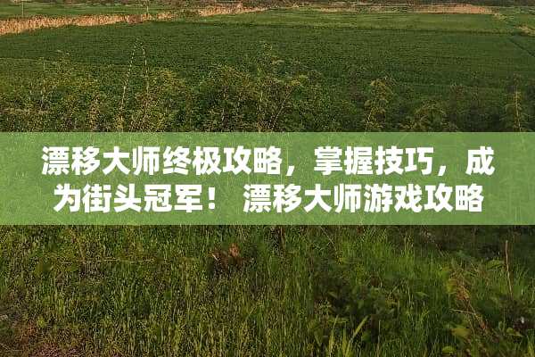 漂移大师终极攻略，掌握技巧，成为街头冠军！ 漂移大师游戏攻略