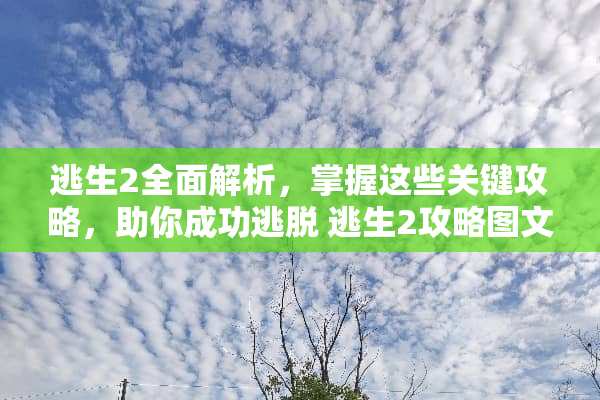 逃生2全面解析，掌握这些关键攻略，助你成功逃脱 逃生2攻略图文