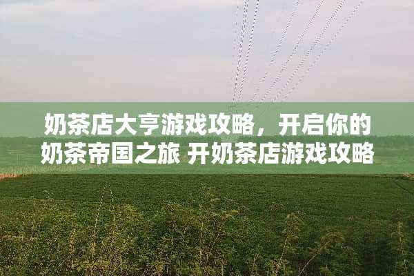 奶茶店大亨游戏攻略，开启你的奶茶帝国之旅 开奶茶店游戏攻略