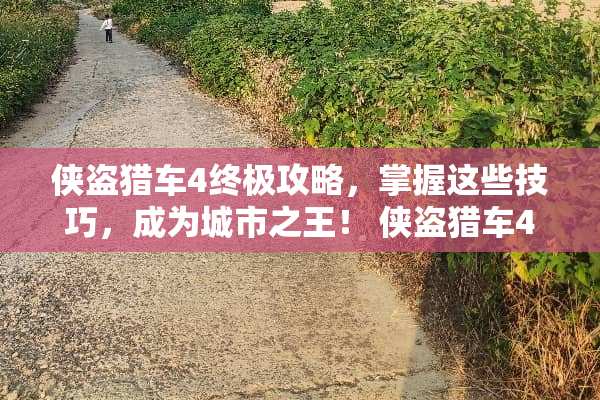 侠盗猎车4终极攻略，掌握这些技巧，成为城市之王！ 侠盗猎车4攻略