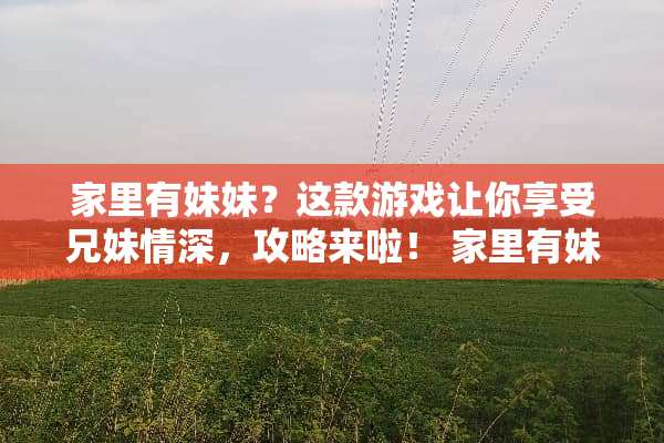 家里有妹妹？这款游戏让你享受兄妹情深，攻略来啦！ 家里有妹妹游戏攻略