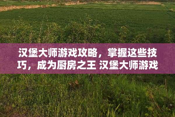 汉堡大师游戏攻略，掌握这些技巧，成为厨房之王 汉堡大师游戏攻略